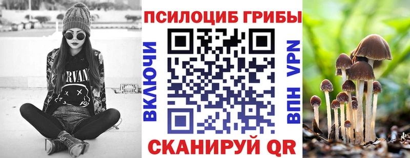 Псилоцибиновые грибы GOLDEN TEACHER  Сураж 